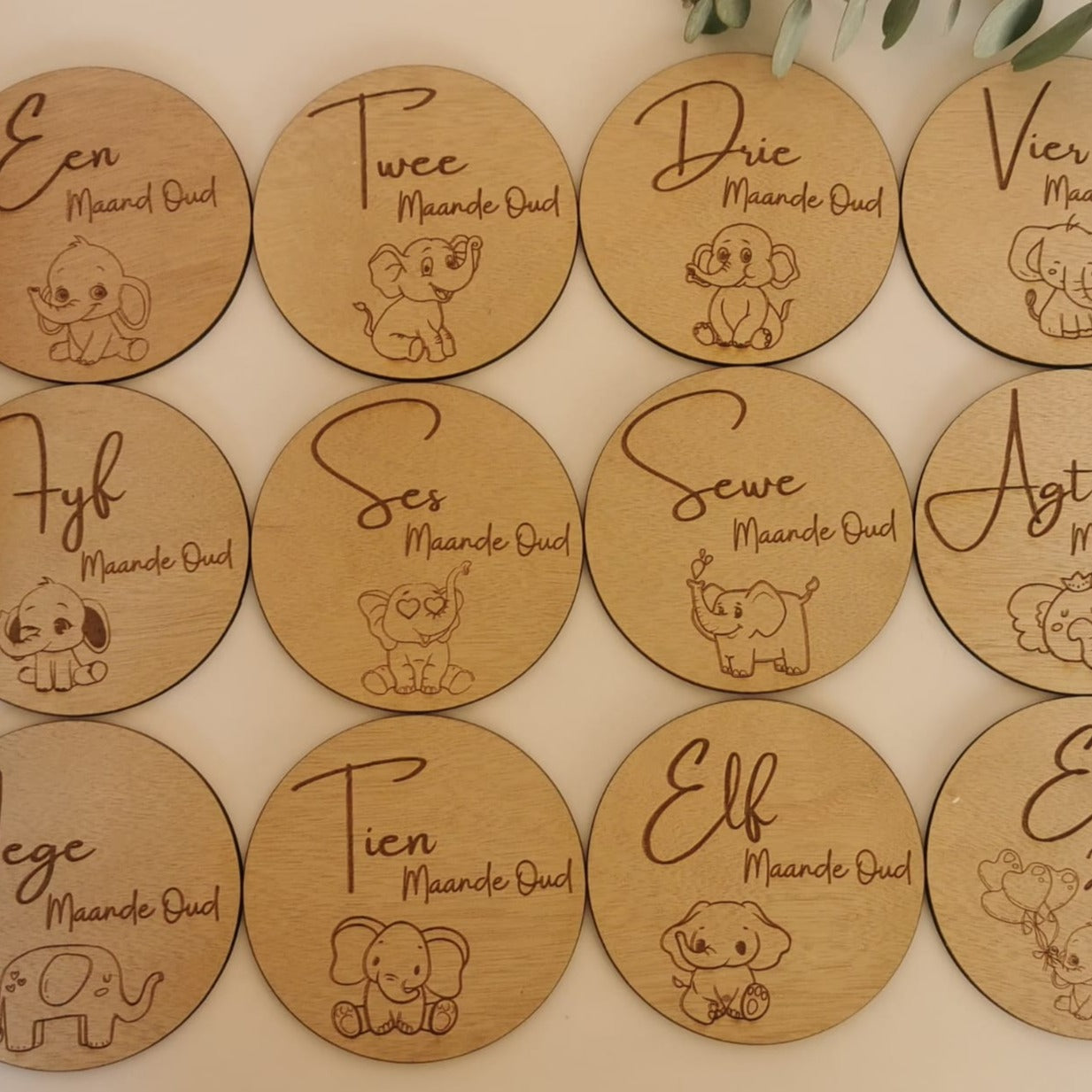 Wooden Milestone Discs | Baby Milestone Discs